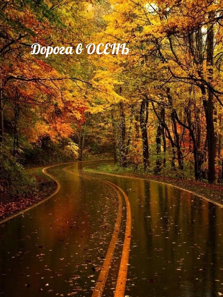 Дорога в ОСЕНЬ