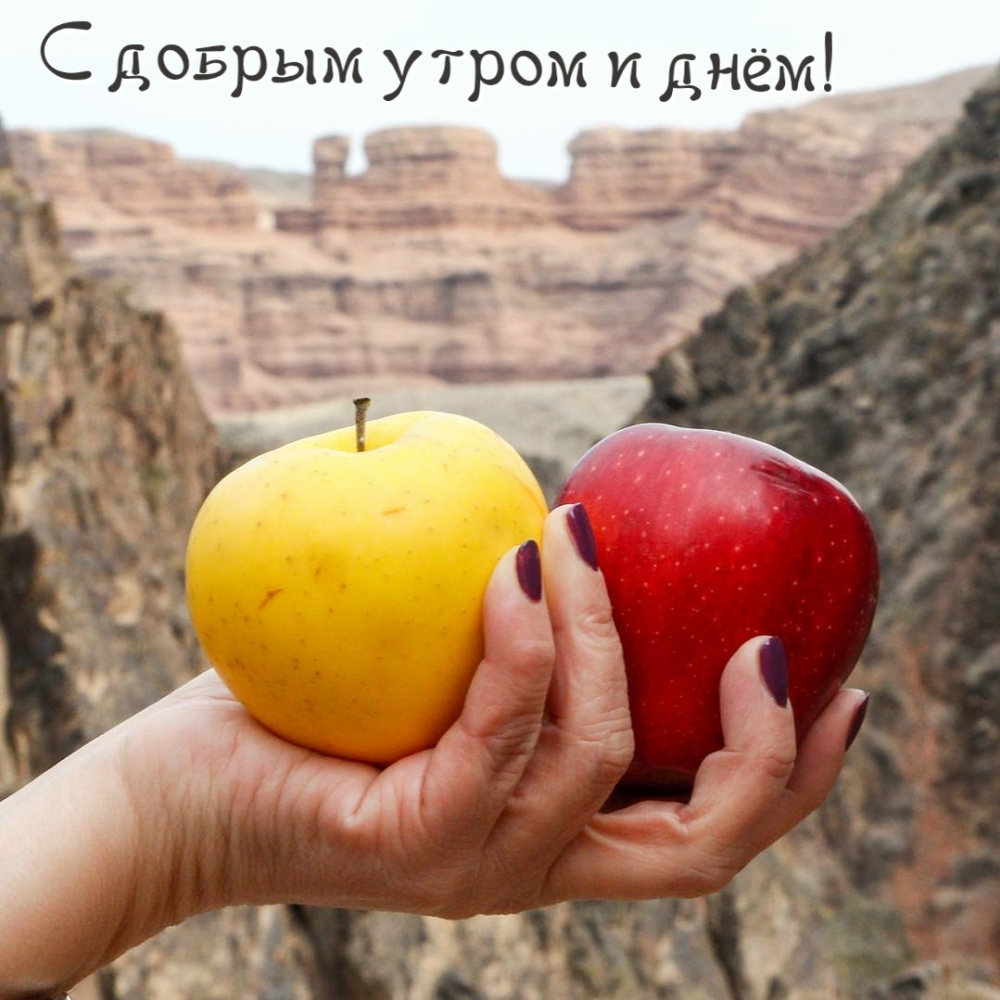 Картинки с надписями.  С добрым утром и днём!.