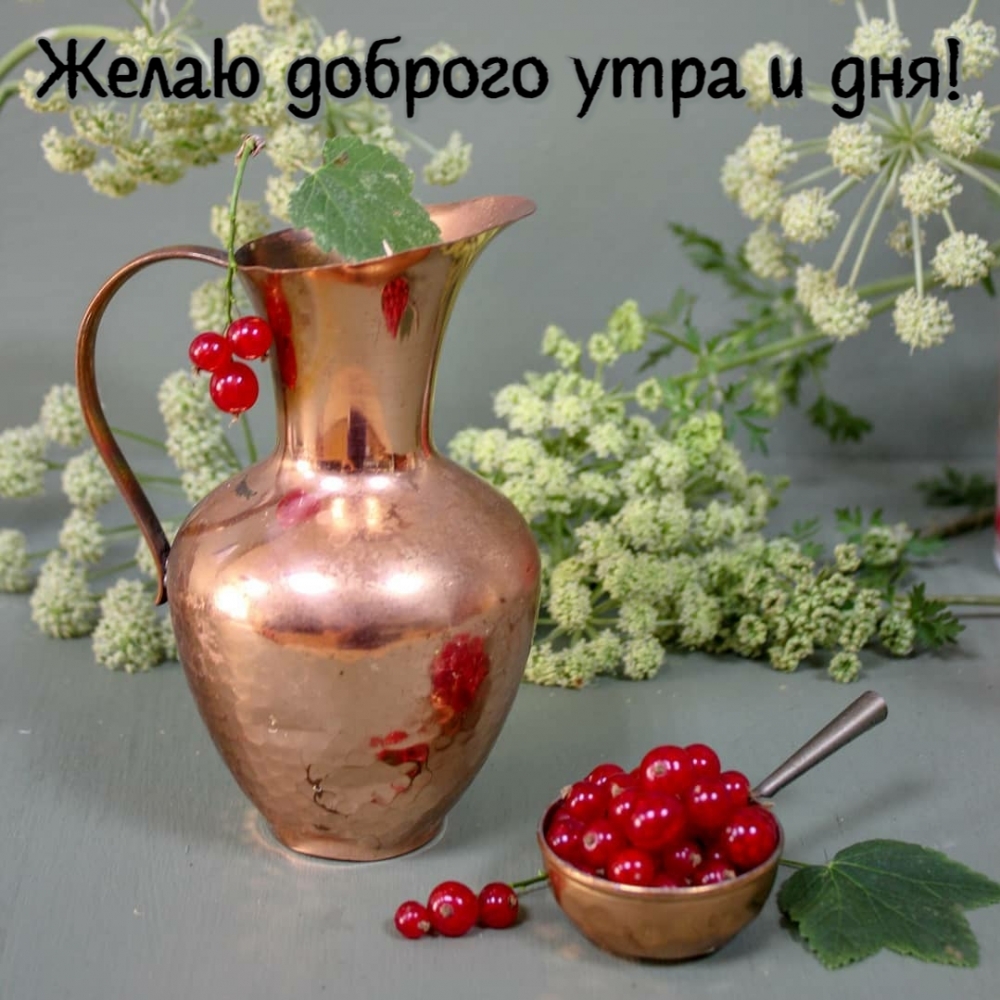 Желаю доброго утра и дня!