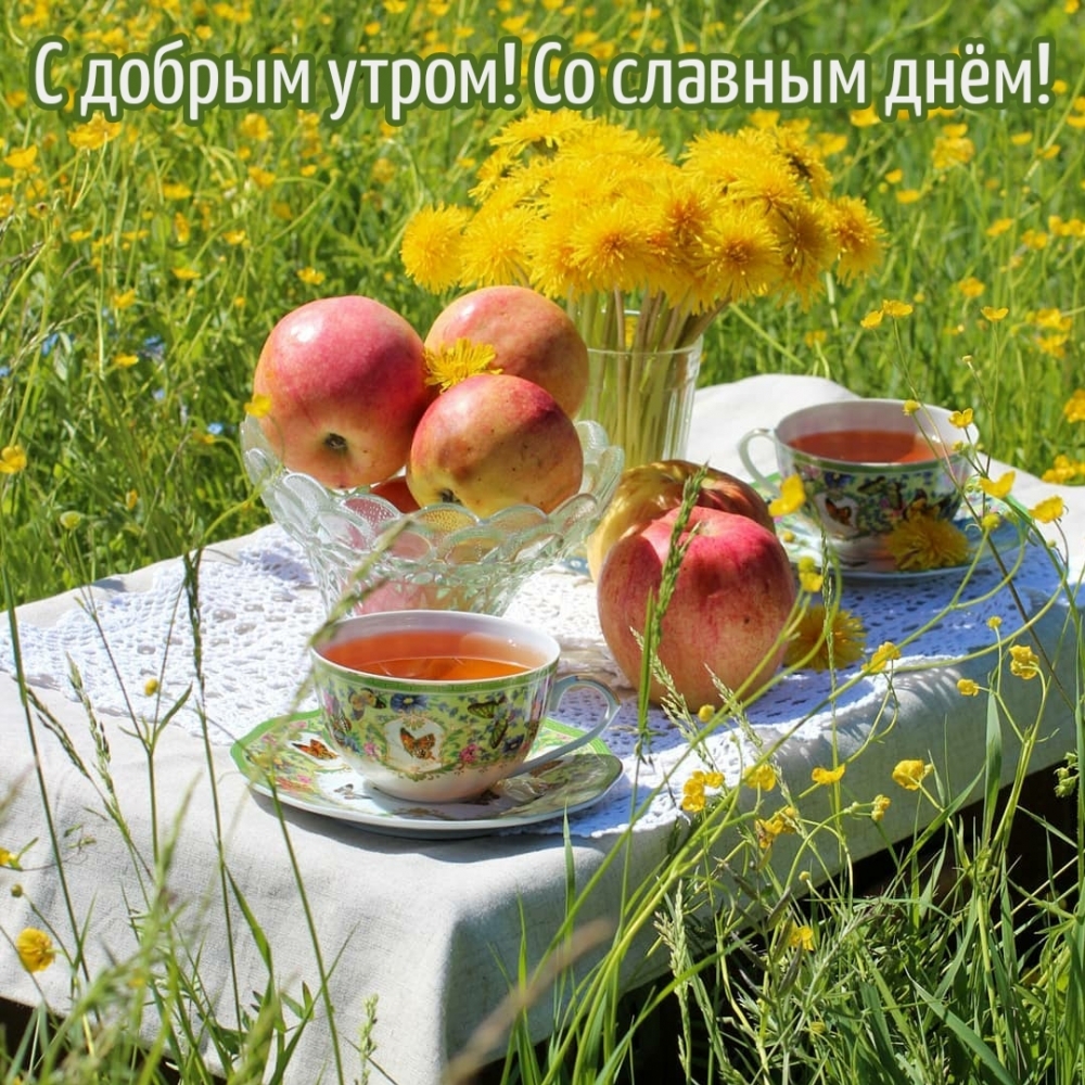 С добрым утром! Со славным днём!