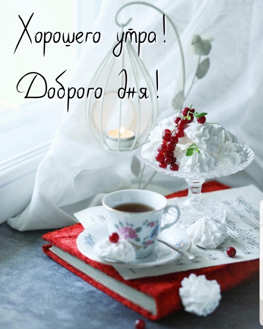 Хорошего утра! Доброго дня!