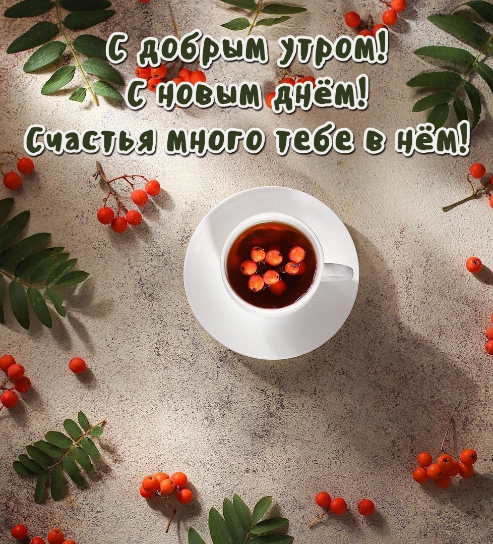 С добрым утром! С новым днём! Счастья много тебе в нём!