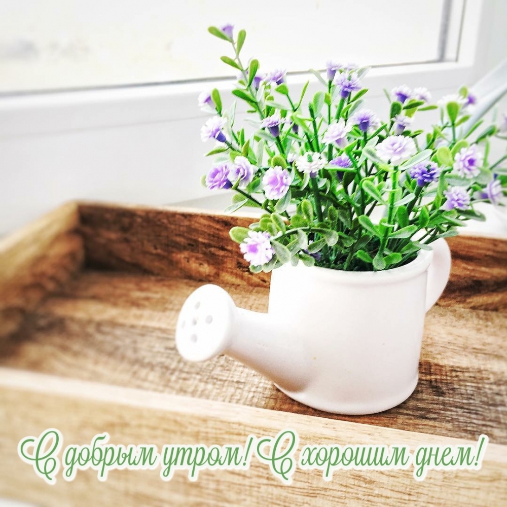 С добрым утром! С хорошим днем!
