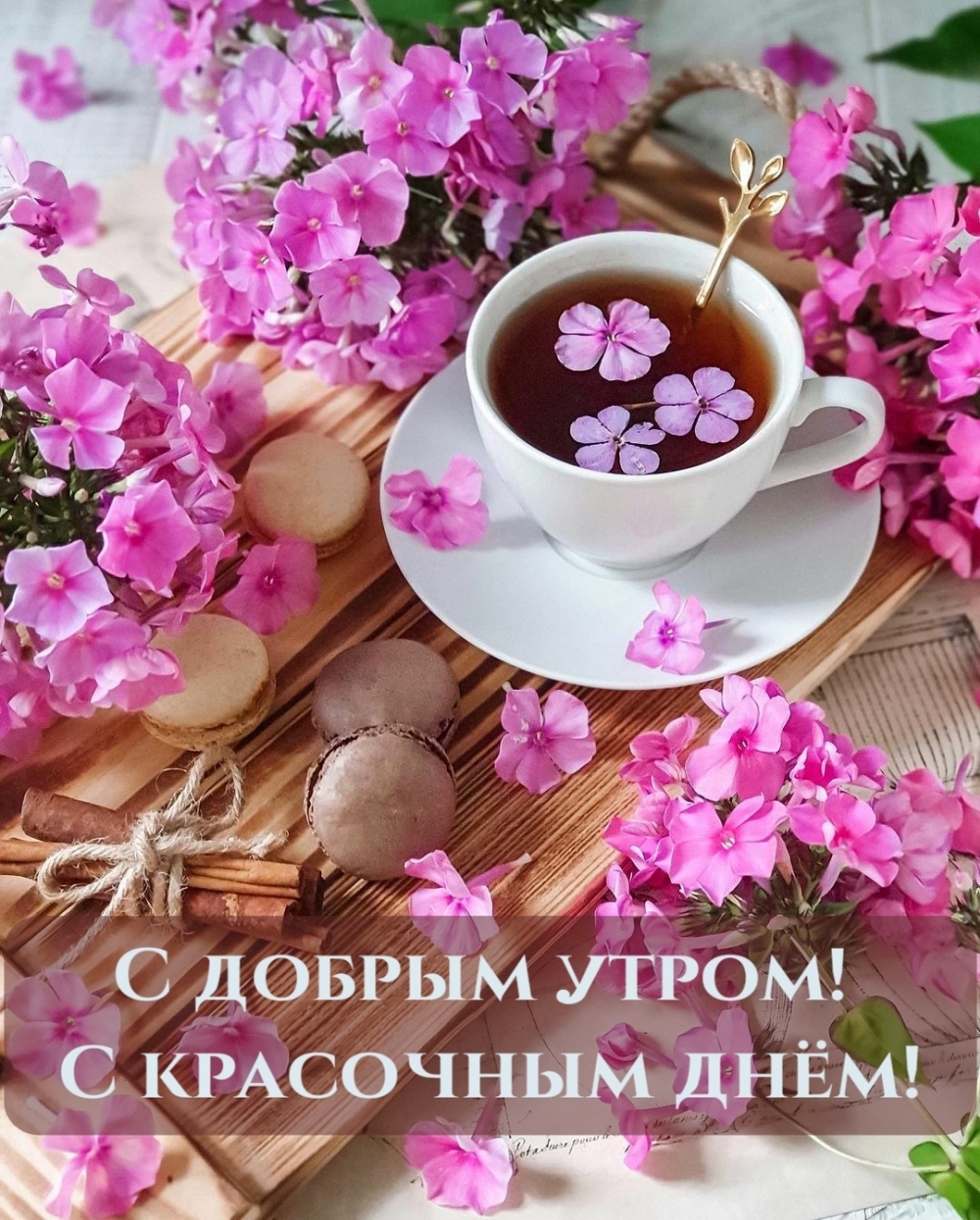 С добрым утром! С красочным днём!