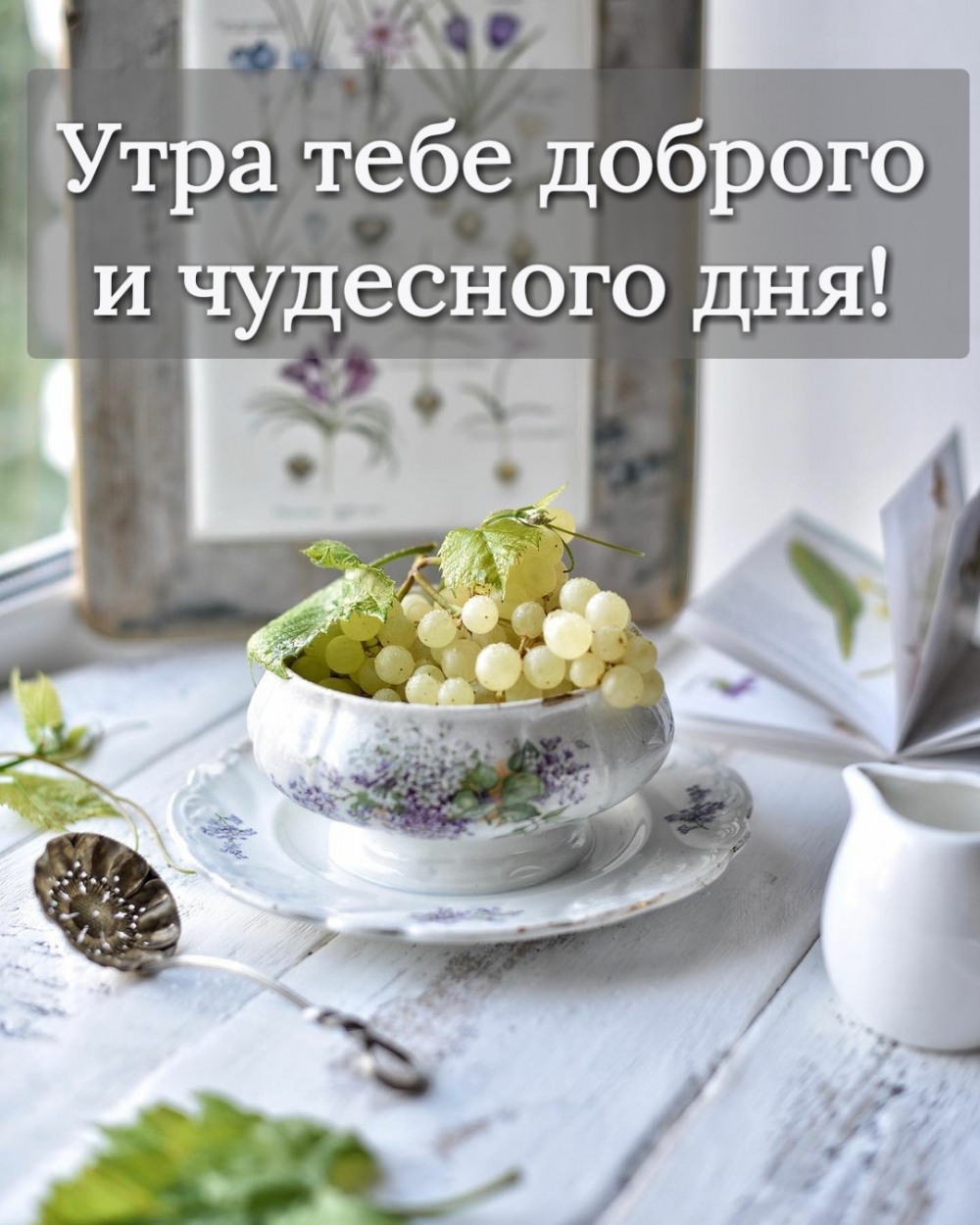 Утра тебе доброго и чудесного дня!