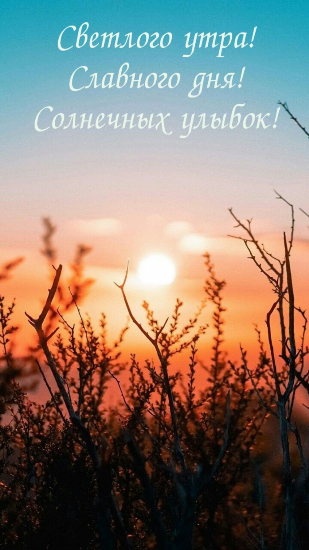 Светлого утра! Славного дня! Солнечных улыбок!