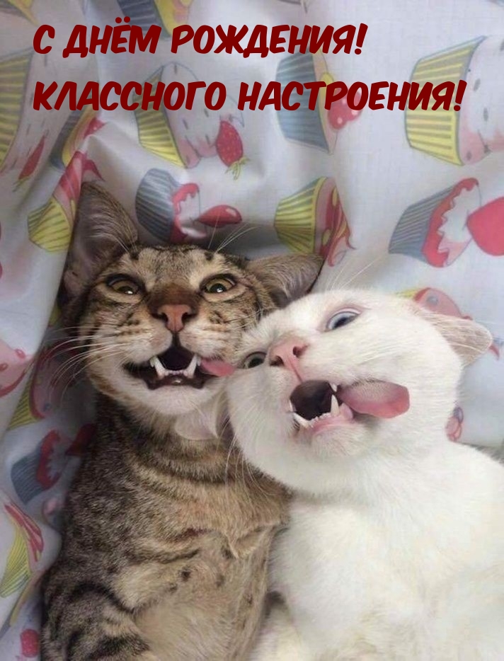 С днём рождения! Классного настроения!