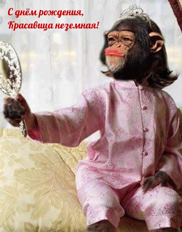 С днём рождения, Красавица неземная!