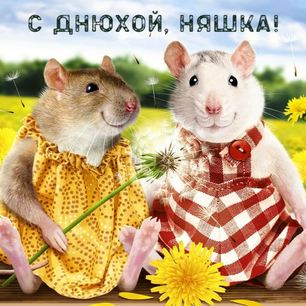 С днюшкой, няшка!