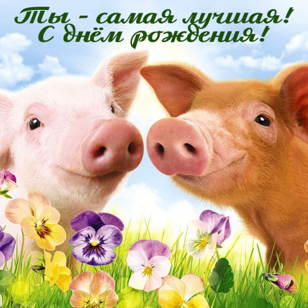 Ты — самая лучшая! С днём рождения!