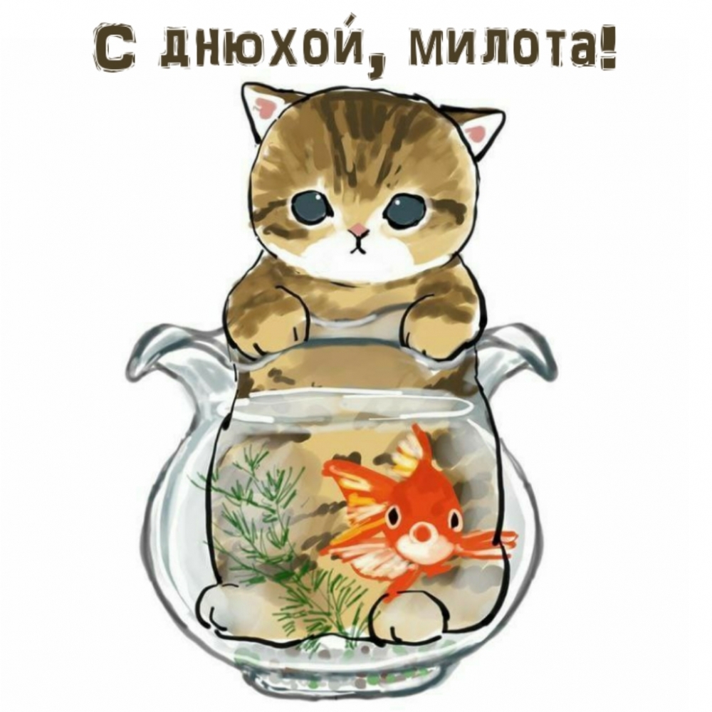 С днюхой, милота!