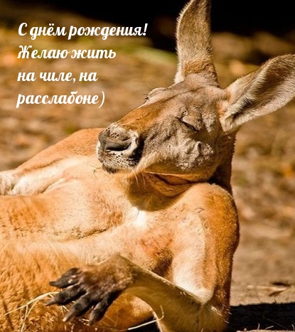 С днём рождения! Желаю жить на чиле, на расслабоне)