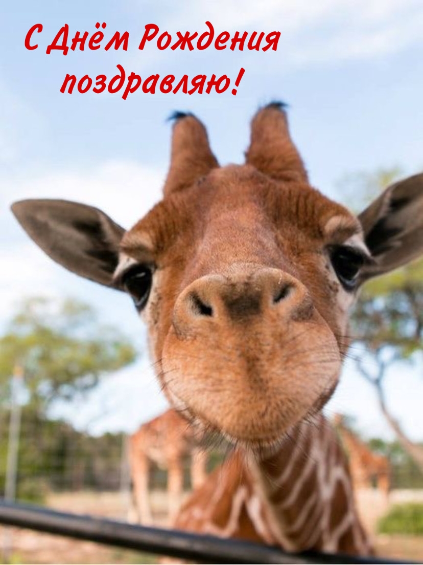 С Днём Рождения поздравляю!