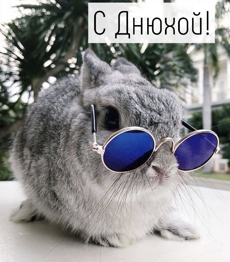 С Днюхой!