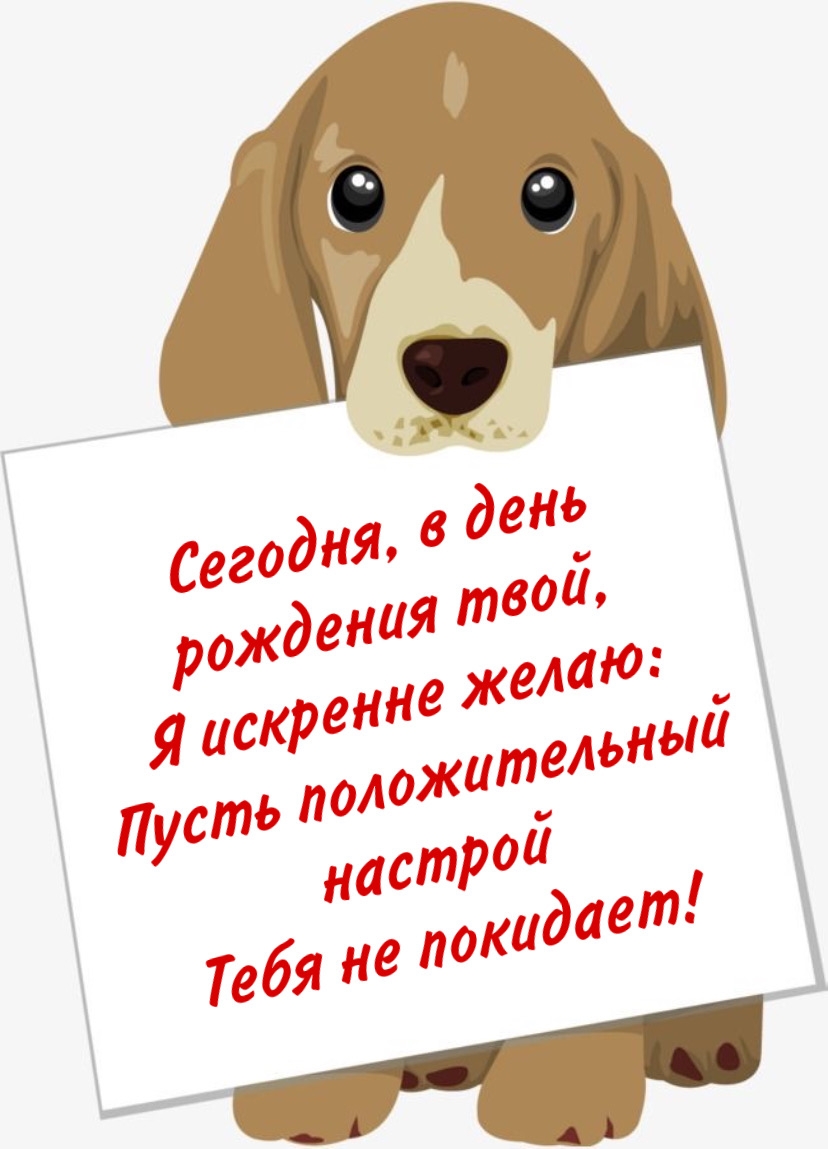 Пусть положительный настрой тебя не покидает!