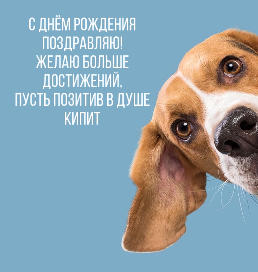 С Днём Рождения поздравляю!