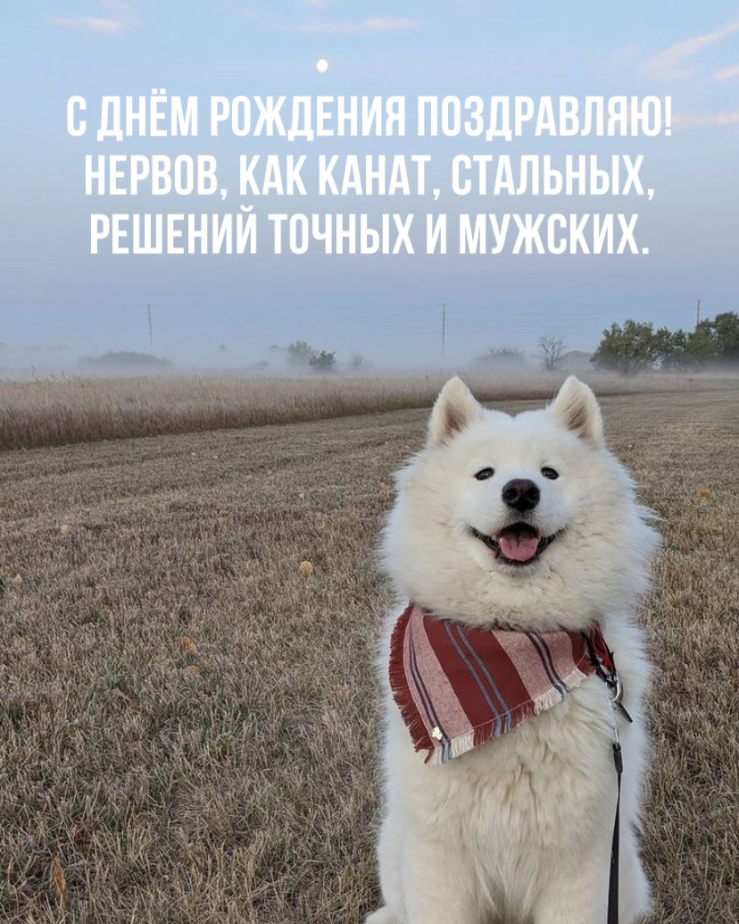 С Днём Рождения поздравляю! Нервов, как канат