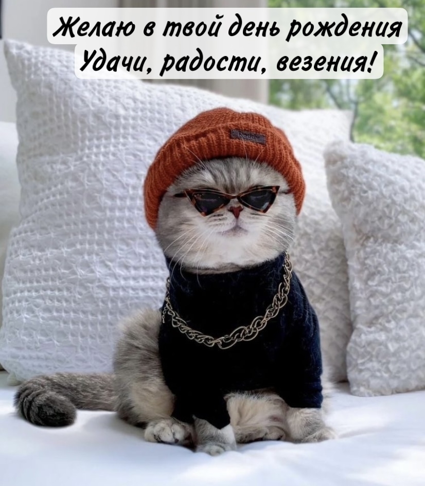 Желаю в твой день рождения Удачи, радости, везения!