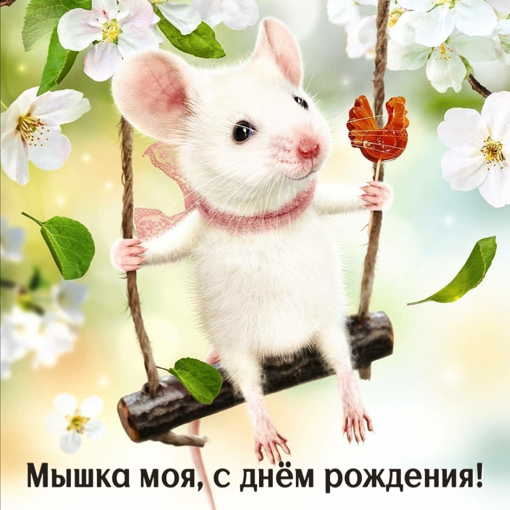 Мышка моя, с днём рождения!