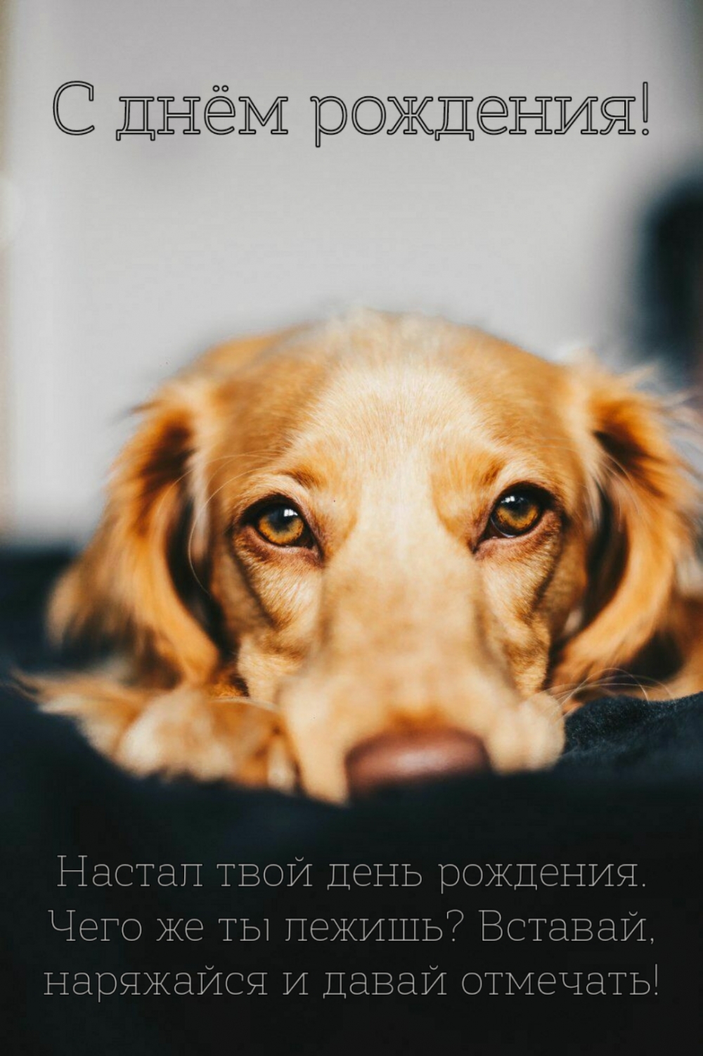 Настал твой день рождения. Чего же ты лежишь?