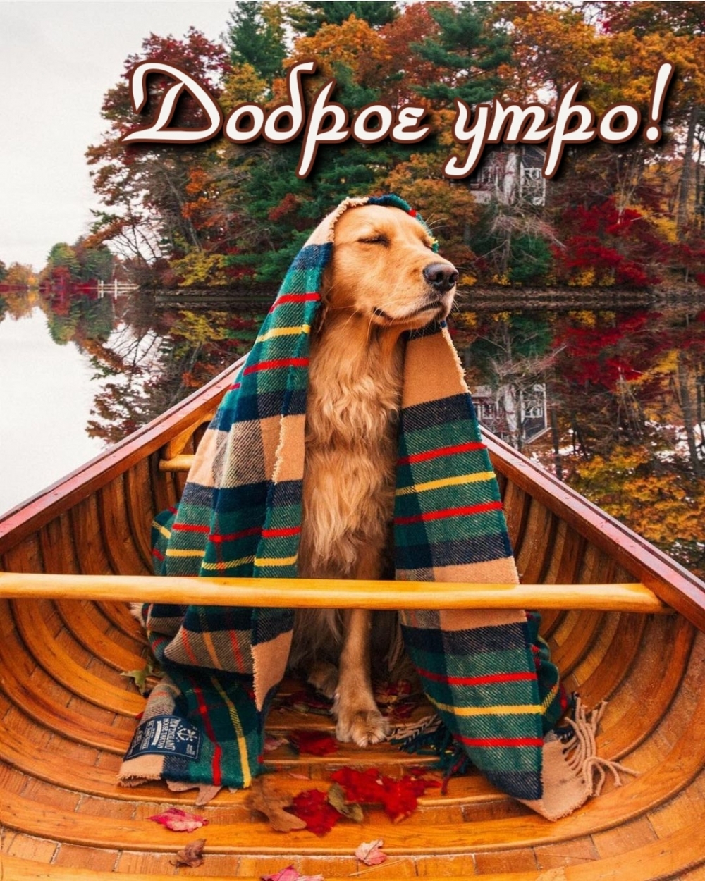 Доброе утро!