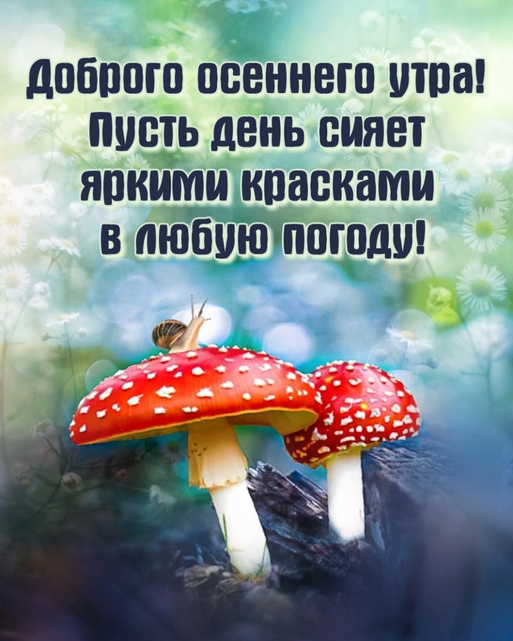 Пусть день сияет яркими красками в любую погоду!