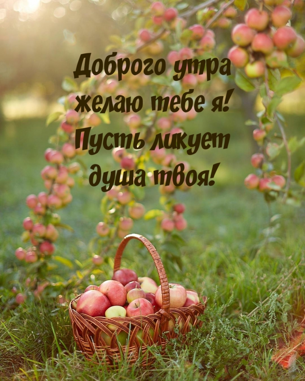 Доброго утра желаю тебе я! Пусть ликует душа твоя!