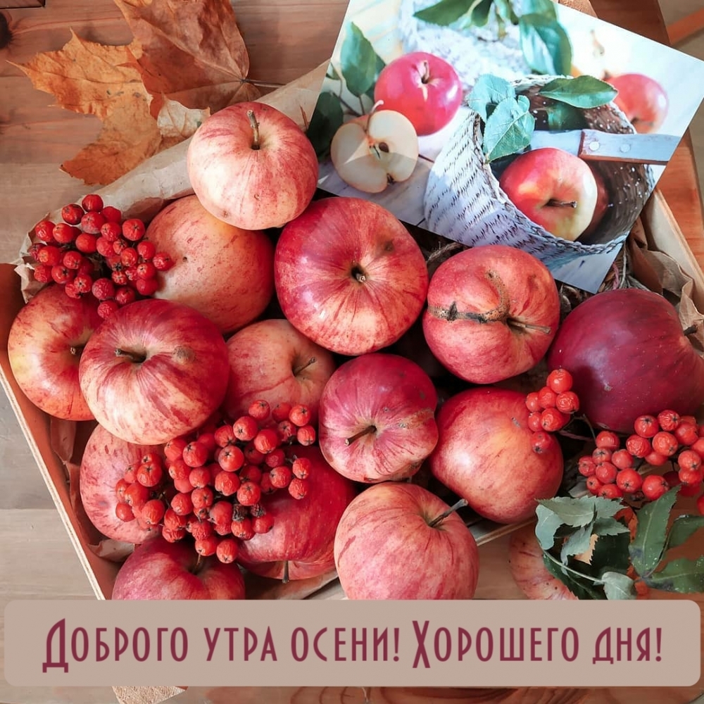 Доброго утра осени! Хорошего дня!