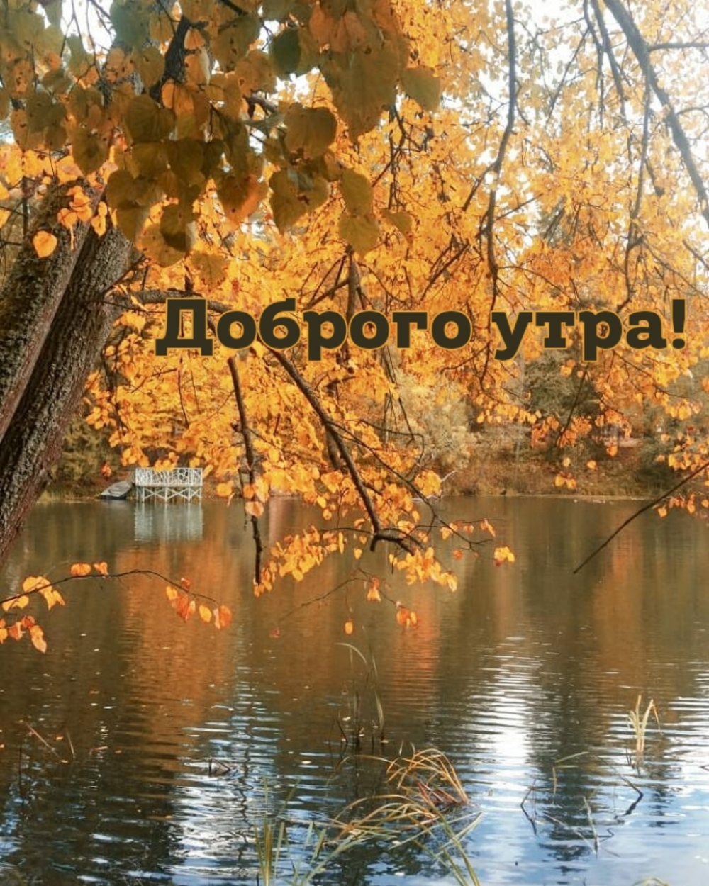 Доброго утра!