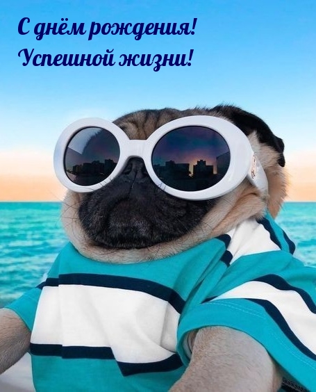 С днём рождения! Успешной жизни!
