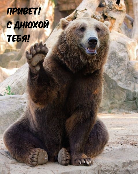 Привет! С днюхой тебя!