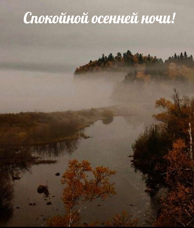 Спокойной осенней ночи!