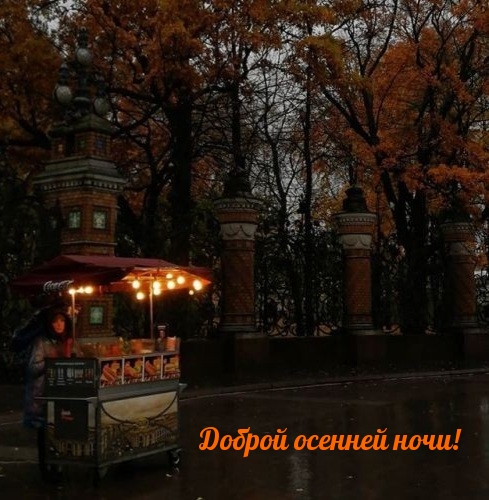Доброй осенней ночи!