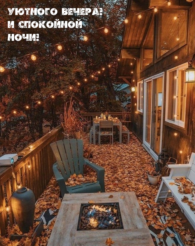 Уютного вечера! И спокойной ночи!