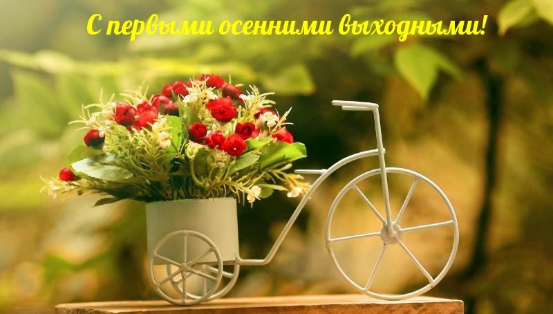 С первыми осенними выходными!