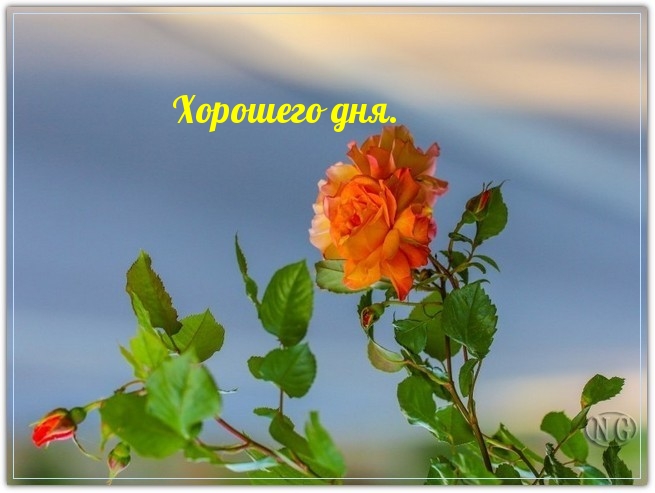 Хорошего дня.
