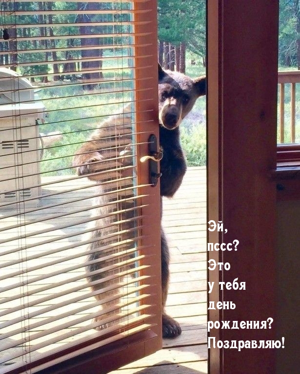 Эй, пссс? Это у тебя день рождения? Поздравляю!