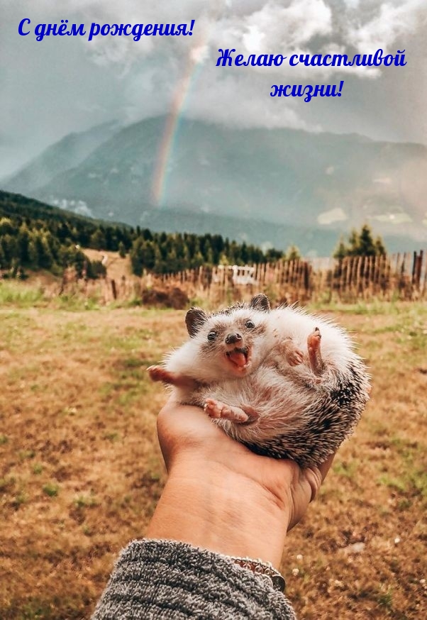 С днём рождения! Желаю счастливой жизни!