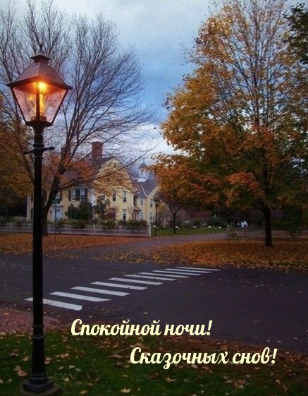 Спокойной ночи! Сказочных снов!