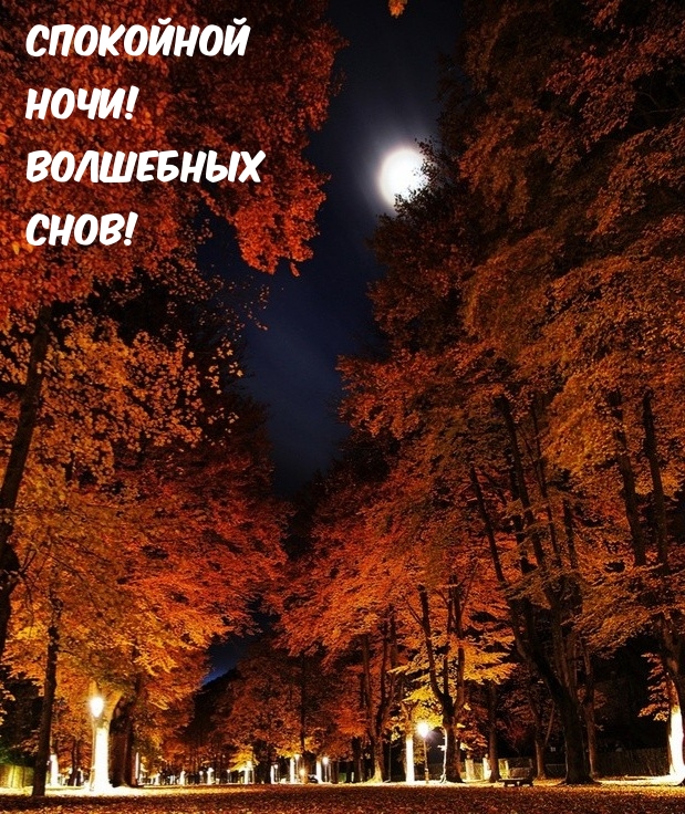 Спокойной ночи! Волшебных снов!