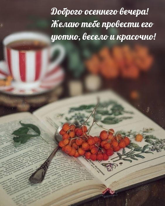 Доброго осеннего вечера! Желаю тебе провести его уютно