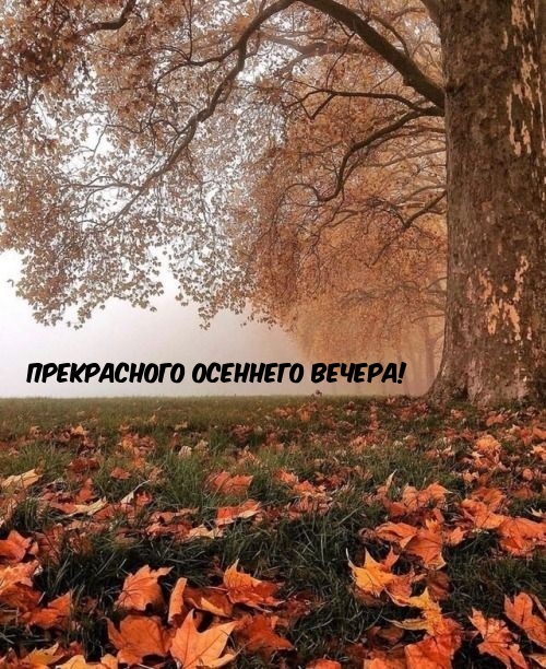 Прекрасного осеннего вечера!