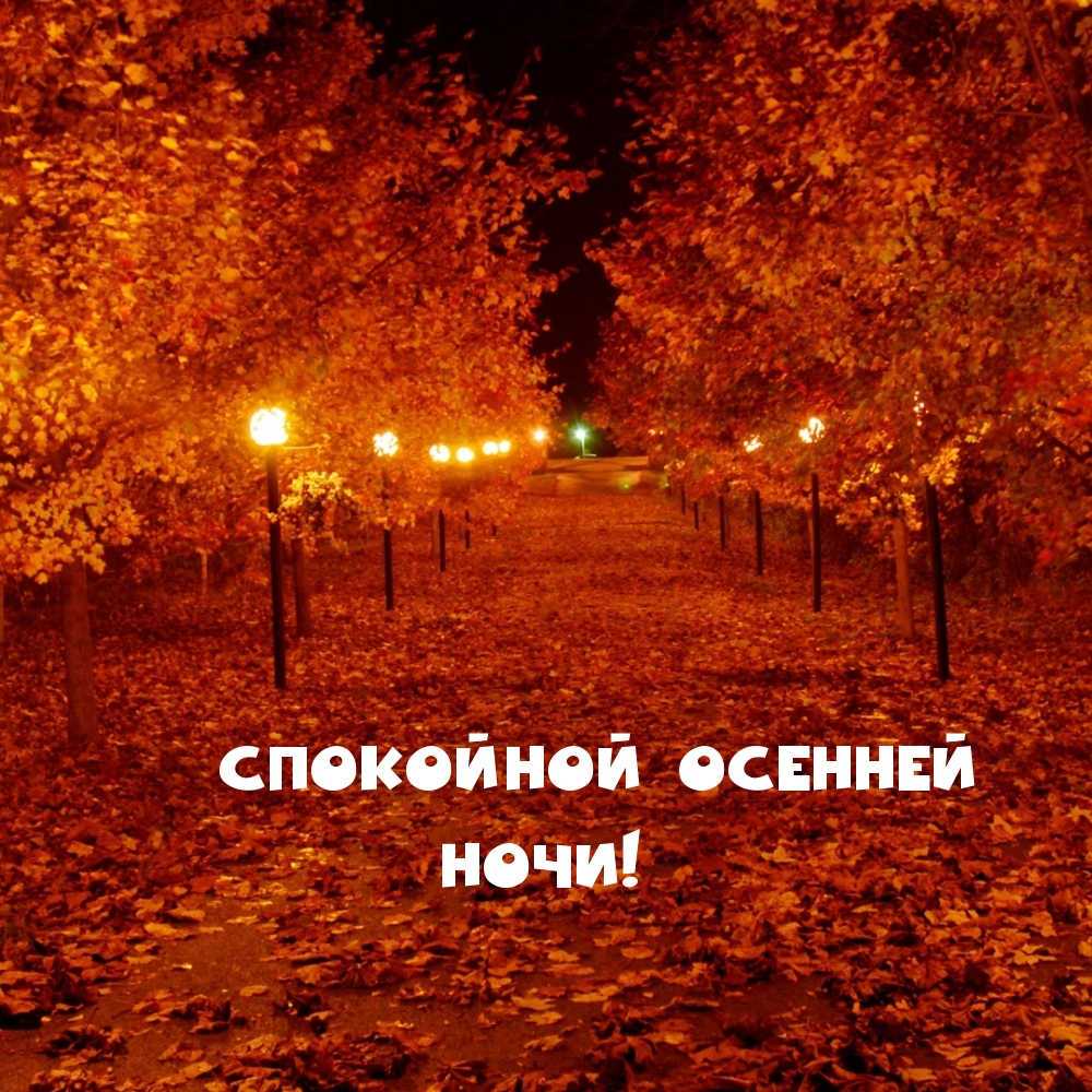 Спокойной осенней ночи!
