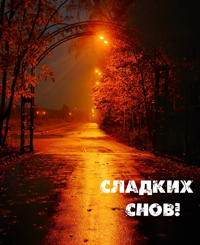 Сладких снов!