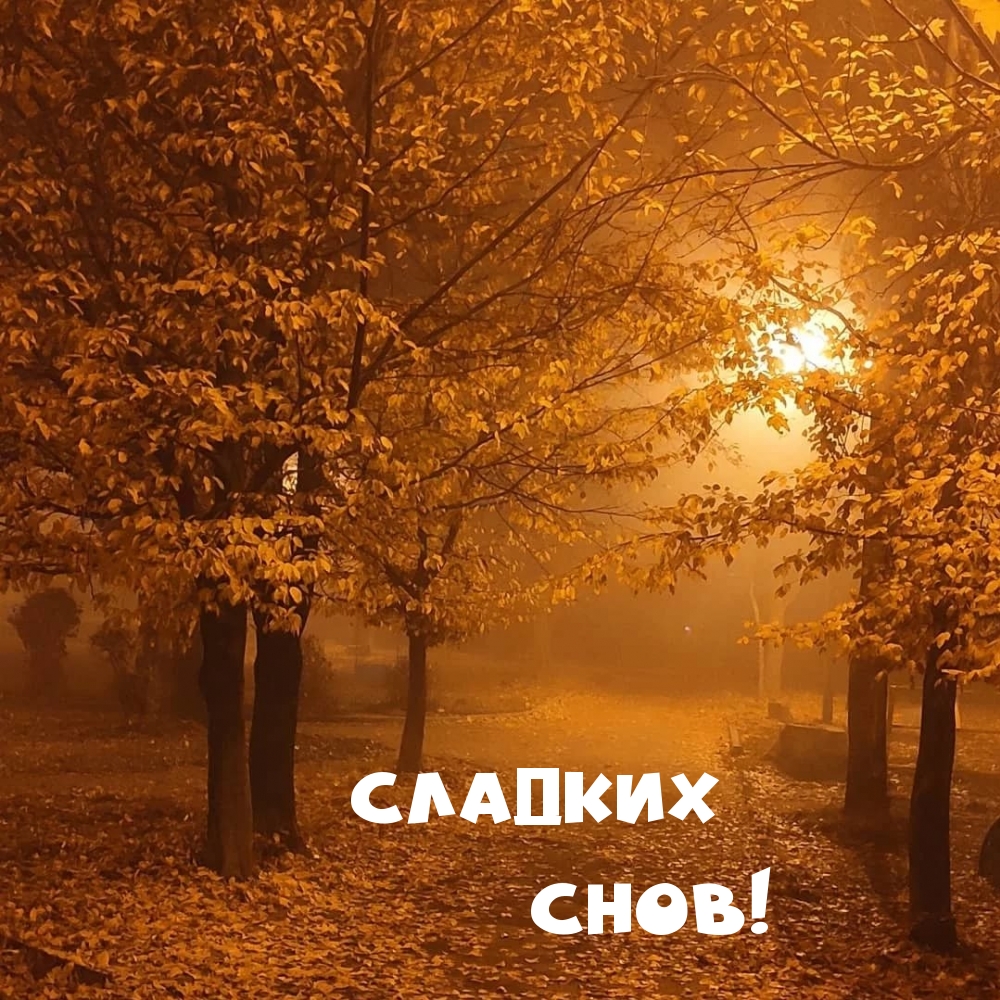 Сладких снов!