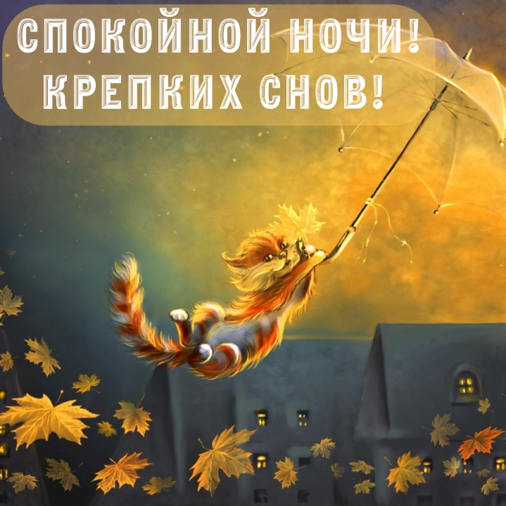 Спокойной ночи! Крепких снов!