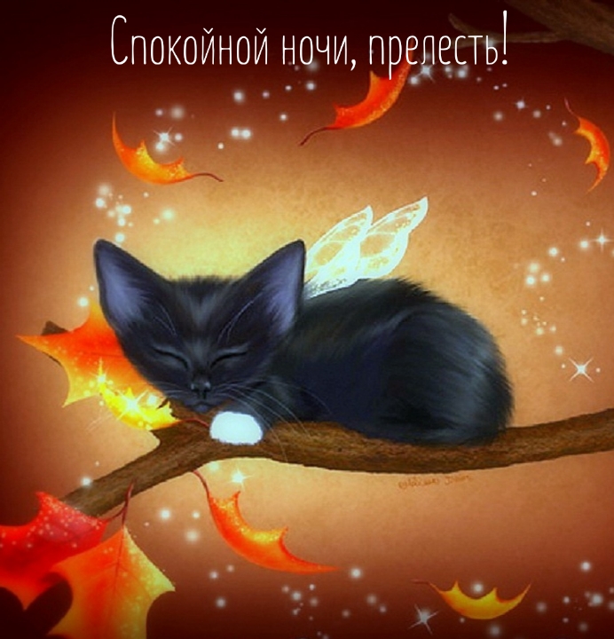 Спокойной ночи, прелесть!