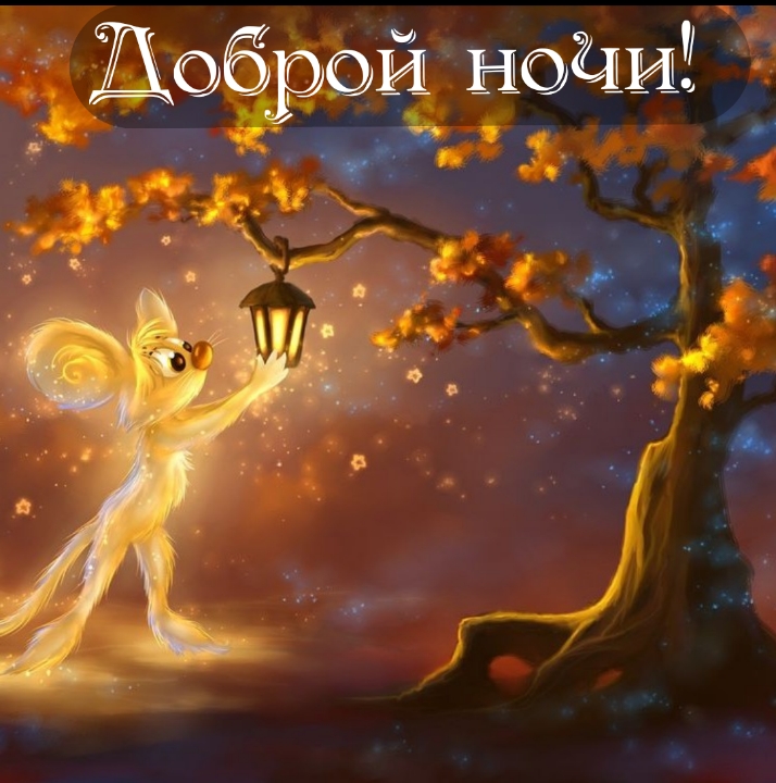 Доброй ночи!