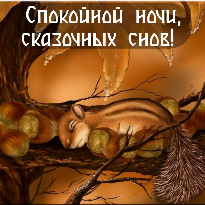 Спокойной ночи, Сказочных снов!