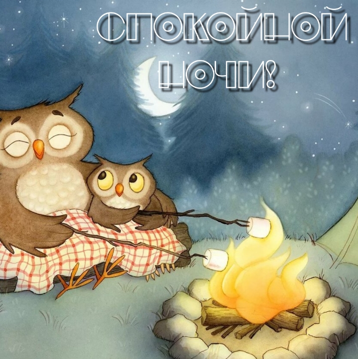 Спокойной ночи!